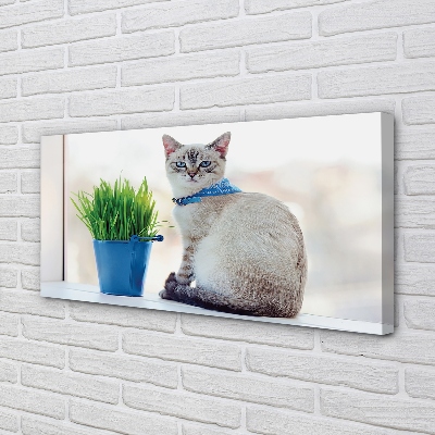 Canvas bild Sittande katt