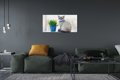 Canvas bild Sittande katt