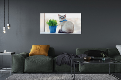 Canvas bild Sittande katt