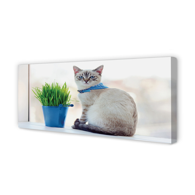 Canvas bild Sittande katt