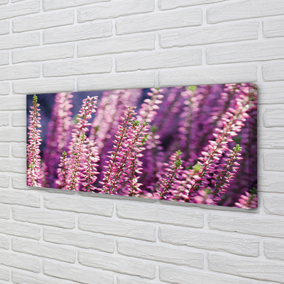 Foto på canvas Blommor