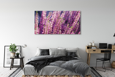 Foto på canvas Blommor