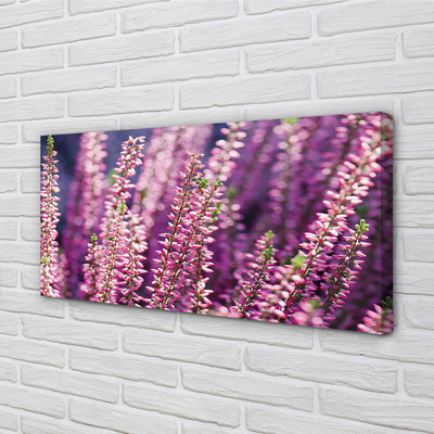 Foto på canvas Blommor