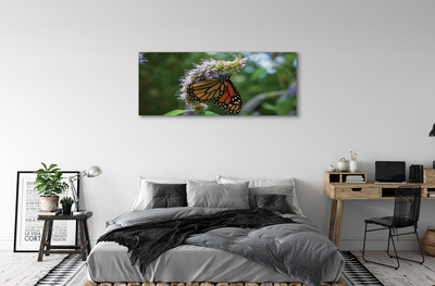 Fototryck canvas Färgglad fjärilsblomma