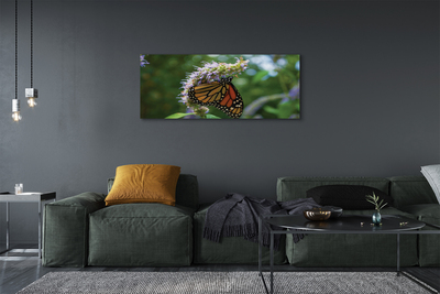 Fototryck canvas Färgglad fjärilsblomma