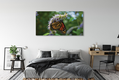 Fototryck canvas Färgglad fjärilsblomma