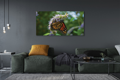 Fototryck canvas Färgglad fjärilsblomma