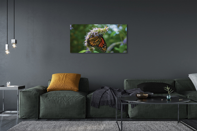 Fototryck canvas Färgglad fjärilsblomma