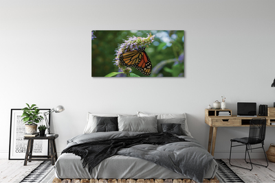 Fototryck canvas Färgglad fjärilsblomma