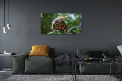 Fototryck canvas Färgglad fjärilsblomma