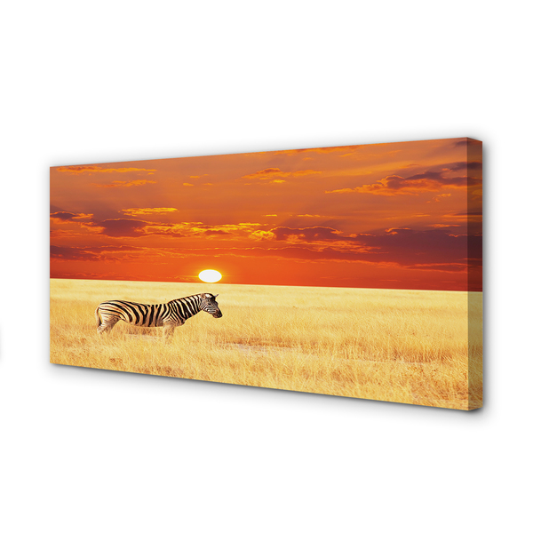 Fototryck canvas Zebrafältsolnedgång