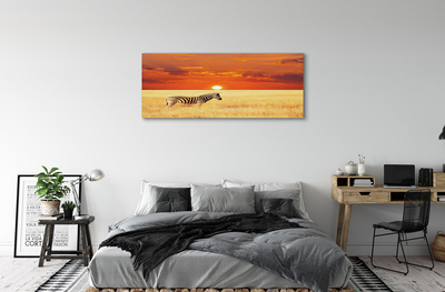 Fototryck canvas Zebrafältsolnedgång