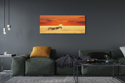 Fototryck canvas Zebrafältsolnedgång