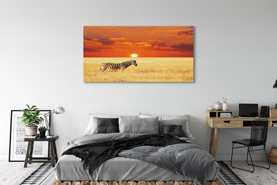 Fototryck canvas Zebrafältsolnedgång