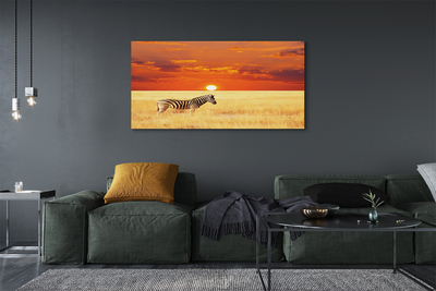 Fototryck canvas Zebrafältsolnedgång