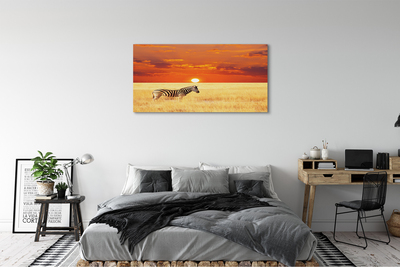 Fototryck canvas Zebrafältsolnedgång