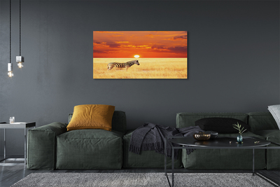 Fototryck canvas Zebrafältsolnedgång