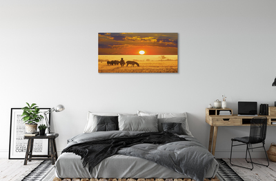 Fototryck canvas Zebra solnedgång moln