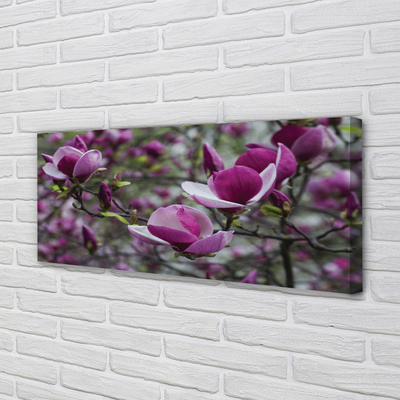 Canvas bild Lila magnolia