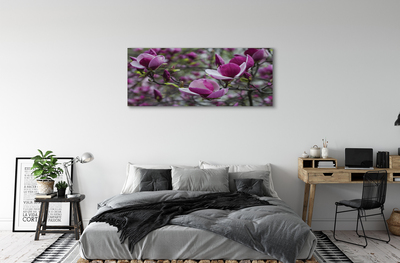 Canvas bild Lila magnolia