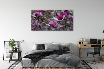 Canvas bild Lila magnolia