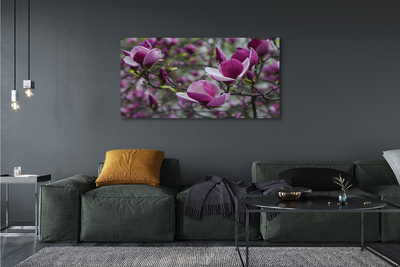 Canvas bild Lila magnolia