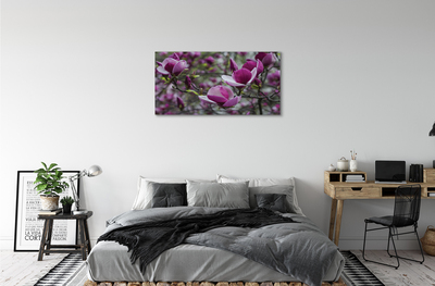 Canvas bild Lila magnolia