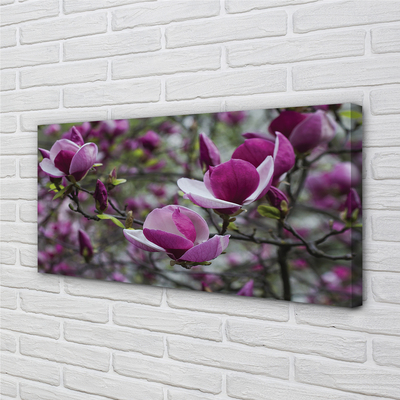 Canvas bild Lila magnolia