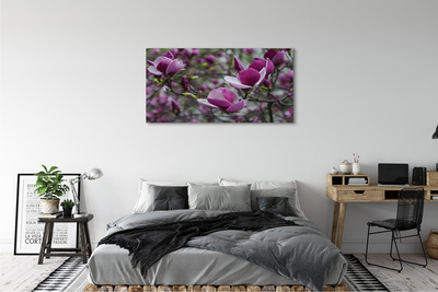 Canvas bild Lila magnolia