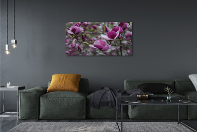 Canvas bild Lila magnolia