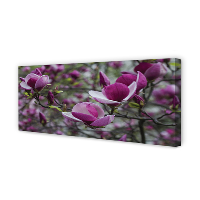 Canvas bild Lila magnolia