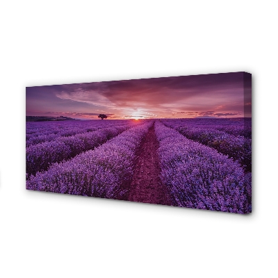 Fototryck canvas Ljungfält