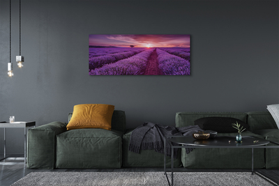 Fototryck canvas Ljungfält