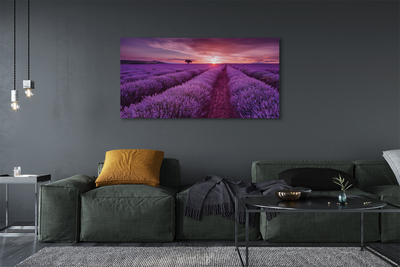 Fototryck canvas Ljungfält