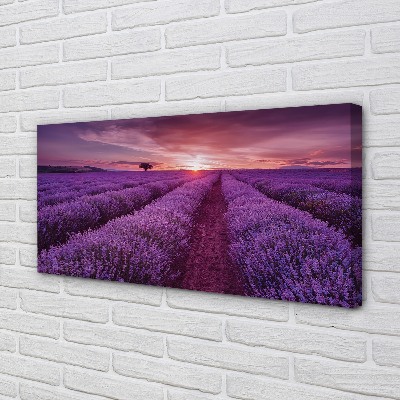 Fototryck canvas Ljungfält