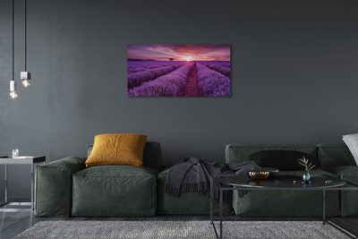 Fototryck canvas Ljungfält