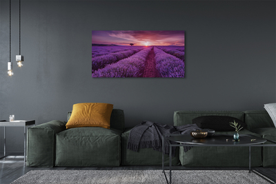 Fototryck canvas Ljungfält