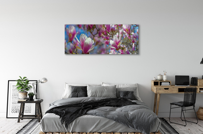 Bild på canvas Magnolia träd