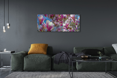 Bild på canvas Magnolia träd