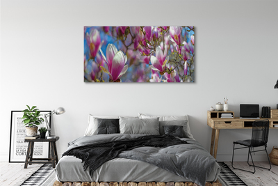 Bild på canvas Magnolia träd