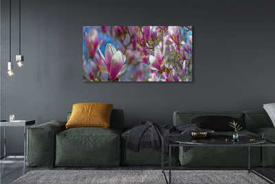 Bild på canvas Magnolia träd