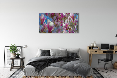 Bild på canvas Magnolia träd