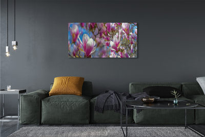 Bild på canvas Magnolia träd