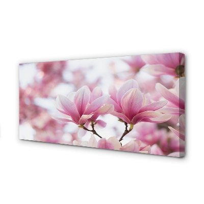 Fototryck canvas Magnolia träd