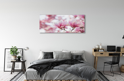 Fototryck canvas Magnolia träd