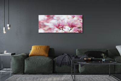 Fototryck canvas Magnolia träd