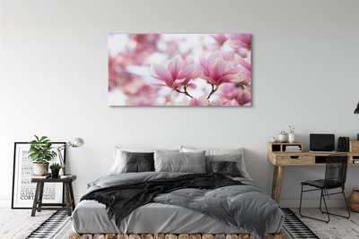 Fototryck canvas Magnolia träd