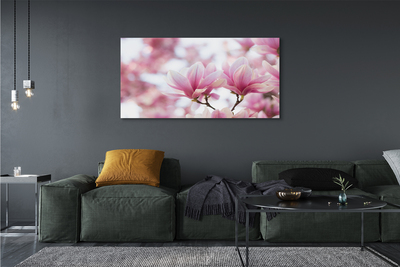 Fototryck canvas Magnolia träd