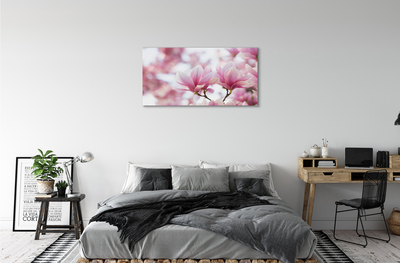 Fototryck canvas Magnolia träd