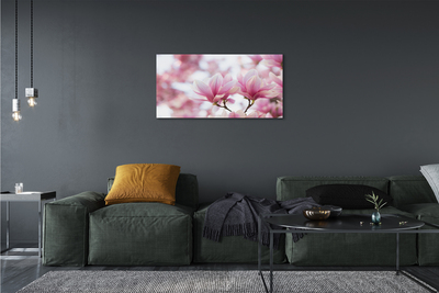 Fototryck canvas Magnolia träd